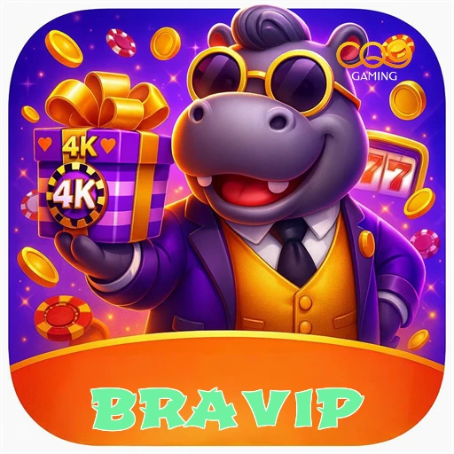 bravip logo