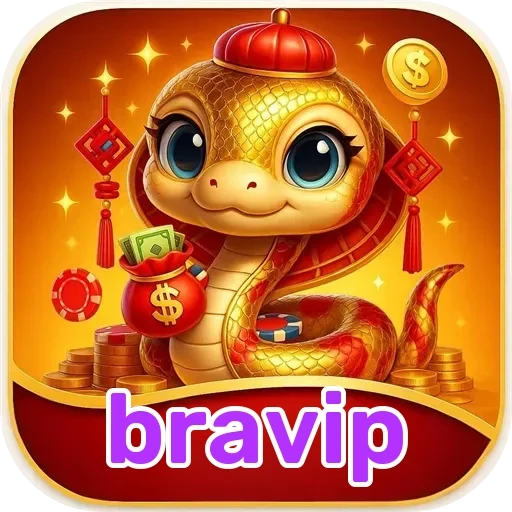 bravip Segurança